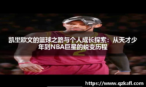 BB贝博登录入口